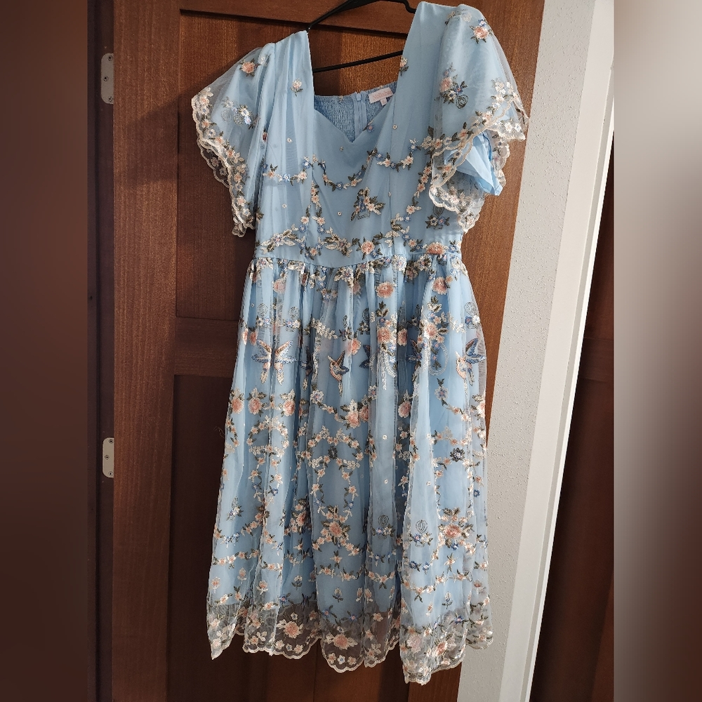 Noliabae Beija Flor Dress Size Large